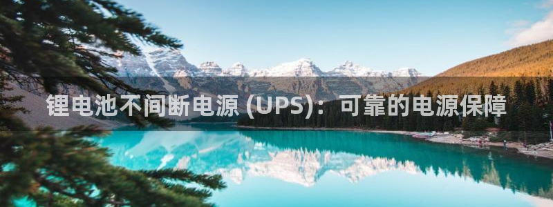 AG尊龙登陆网址：锂电池不间断电源 (UPS)：可靠的电源保障