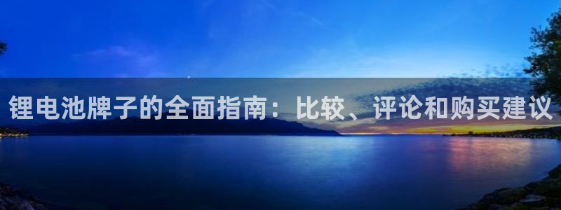 尊龙官网免费下载安装：锂电池牌子的全面指南：比较、评论和购买建议