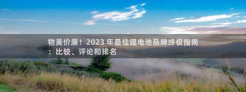 d88尊龙凯时：物美价廉！2023 年最佳锂电池品牌终极指南
：比较、评论和排名