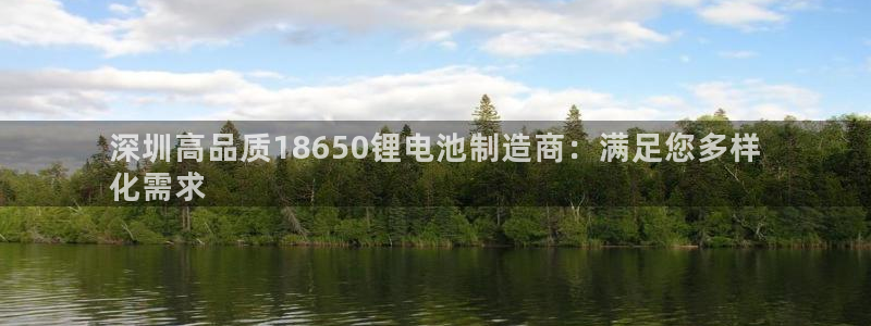 d88尊龙官网登录免费下载：深圳高品质18650锂电池制造商：满足您多样
化需求