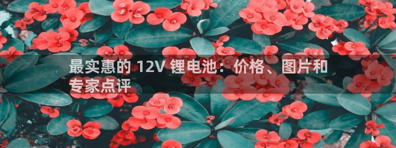 尊龙凯时人生就是博官网登录：最实惠的 12V 锂电池：价格、图片和
专家点评